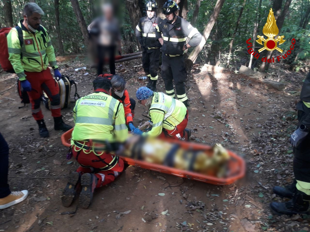 Immagine per Bici contro albero correndo nei boschi, 14enne ferito a Gorizia